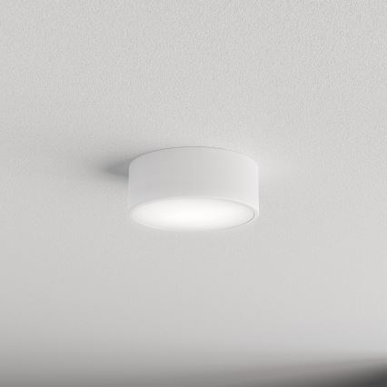 Plafón de baño CLEO 1xE27/24W/230V diá. 20 cm blanco IP54