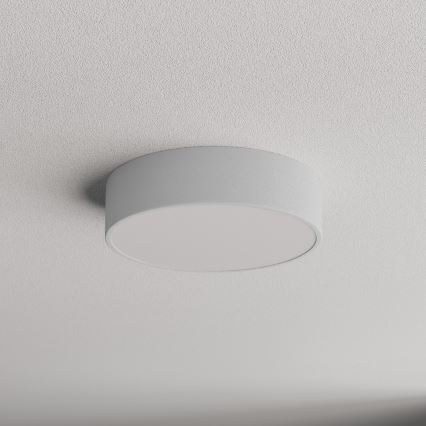 Plafón de baño CLEO 2xE27/24W/230V diá. 30 cm gris IP54