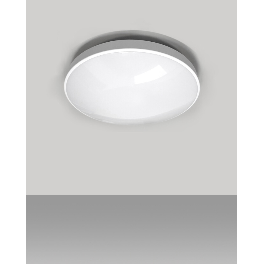 Plafón LED de baño CIRCLE LED/12W/230V 4000K diá. 25 cm IP44 blanco