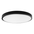 Plafón LED de baño LED/24W/230V 3000K IP44 diá. 29,5 cm negro