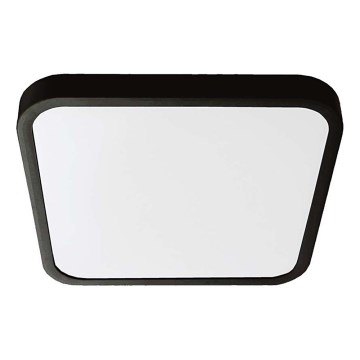 Plafón LED de baño LED/24W/230V 4000K IP44 29,5x29,5 cm negro