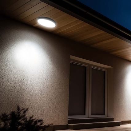 Plafón LED de baño LED/24W/230V 4000K IP44 diá. 29,5 cm negro