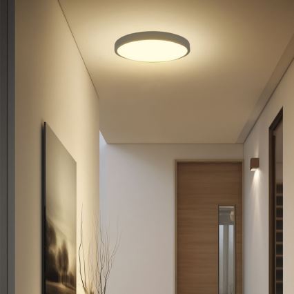 Plafón LED de baño SAMSUNG CHIP LED/36W/230V IP44 3000K diá. 35 cm negro