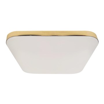 Plafón LED de baño NEMO LED/17W/230V IP44 dorado