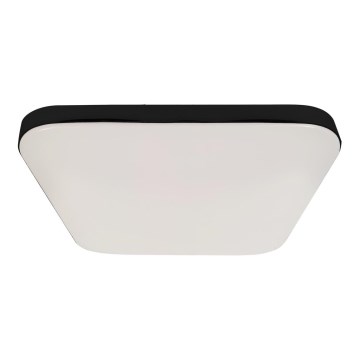 Plafón LED de baño NEMO LED/17W/230V IP44 negro