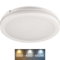 Plafón LED de exterior BENO ECO LED/12W/230V 3000/4000/6500K diá. 20 cm IP65 blanco