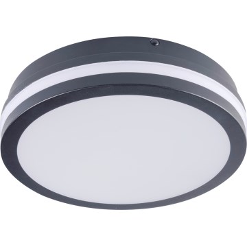 Plafón LED de exterior BENO LED/12/18W/230V 3000/3500/4000K IP65 antracita redondeado