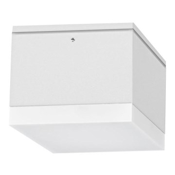 Plafón LED de exterior BRUNO LED/10W/230V IP54