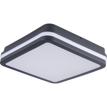 Plafón LED de exterior con sensor de movimiento BENO LED/24/30W/230V 3000/3500/4000K IP65 antracita cuadrado