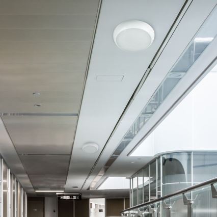Plafón LED de exterior con sensor LED/8W/16W/20W/230V IP65 3000/4000/6500K
