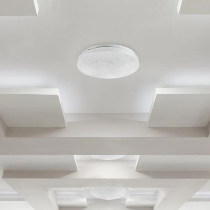Plafón LED de techo 12W/230V 26cm 3000K/4000K/6400K
