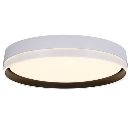 Plafón LED FLORIDA LED/24W/230V blanco