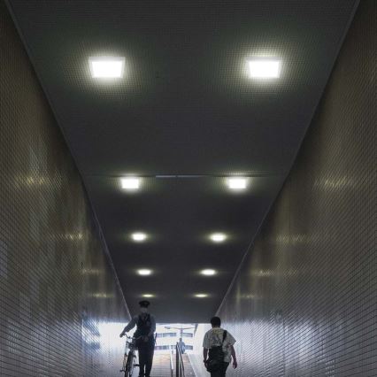 Plafón LED LED/18W/230V 6500K 21,4x21,4 cm blanco