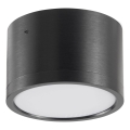 Plafón LED MIRELLA 1xGX53/6W/230V negro