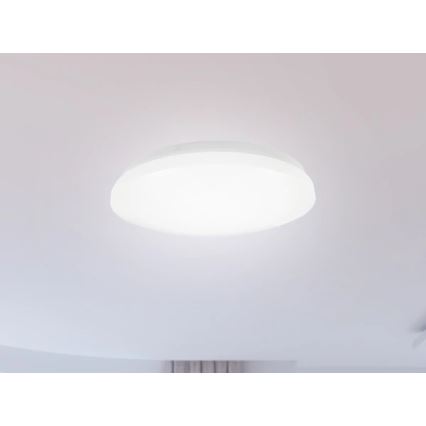 Plafón LED para baño OPAL LED/12W/230V Ø 24,5 cm IP44 blanco