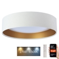 Plafón LED regulable SMART GALAXY LED/36W/230V 55 cm 2700-6500K Wi-Fi Tuya blanco/dorado + mando a distancia