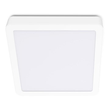 Plafón LED SIGARO SQUARE LED/24W/230V 4000K IP40