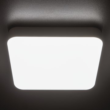 Plafón LED técnico IPER LED/35W/230V IK10 IP65 cuadrado blanco