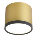 Plafón LED TUBA LED/9W/230V