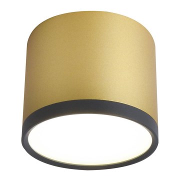 Plafón LED TUBA LED/9W/230V