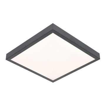 Plafón LED VITALI LED/24W/230V