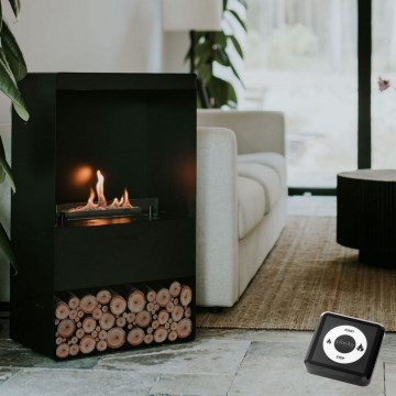 Planika - Chimenea BIO con control remoto 83,5x48 cm 2,5kW/230V negro