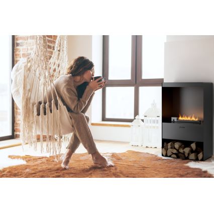 Planika - Chimenea BIO con control remoto 83,5x48 cm 2,5kW/230V negro