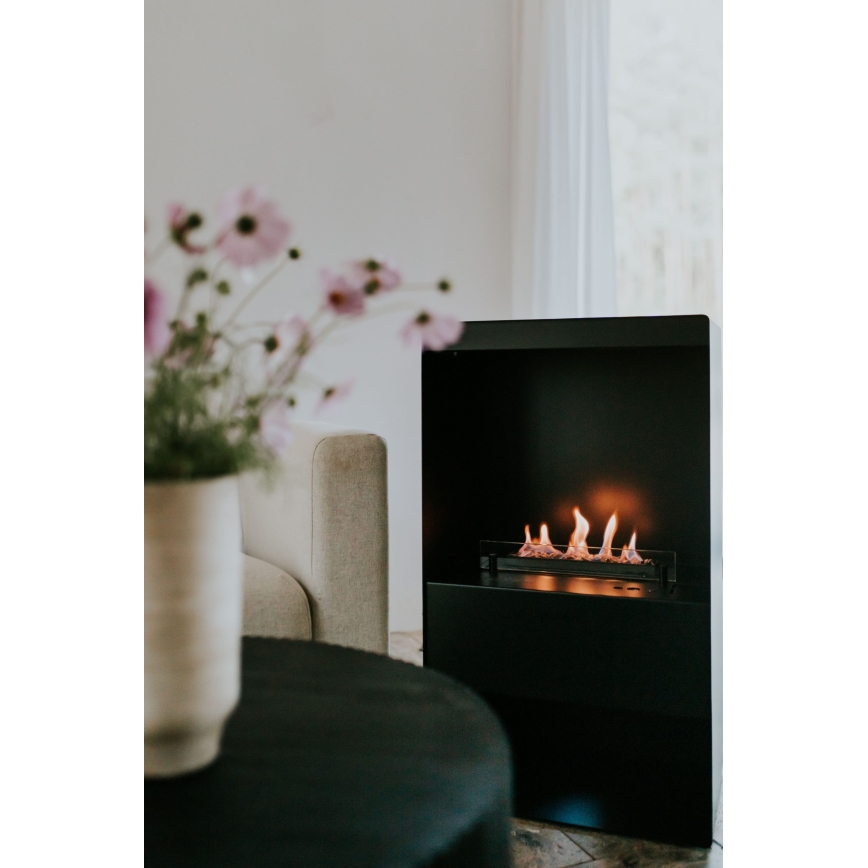 Planika - Chimenea BIO con control remoto 83,5x48 cm 2,5kW/230V negro