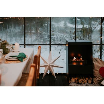 Planika - Chimenea BIO con control remoto 83,5x48 cm 2,5kW/230V negro