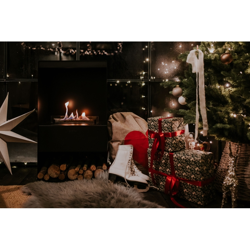 Planika - Chimenea BIO con control remoto 83,5x48 cm 2,5kW/230V negro