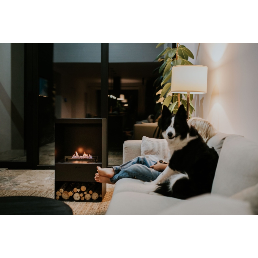 Planika - Chimenea BIO con control remoto 83,5x48 cm 2,5kW/230V negro