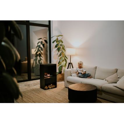 Planika - Chimenea BIO con control remoto 83,5x48 cm 2,5kW/230V negro