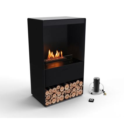 Planika - Chimenea BIO con control remoto 83,5x48 cm 2,5kW/230V negro