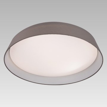 Prezent 45130 - Lámpara de techo LED VASCO LED/24W/230V