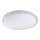 Prezent 71340 - Plafón LED regulable AMBIA LED/40W/230V 3000/4000/6500K Ø 49,5 cm transparente