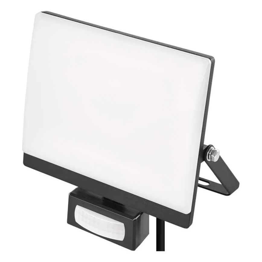 Proyector LED con sensor de movimiento y de crepúsculo TAMBO EVO LED/30W/230V 4000K IP44 negro