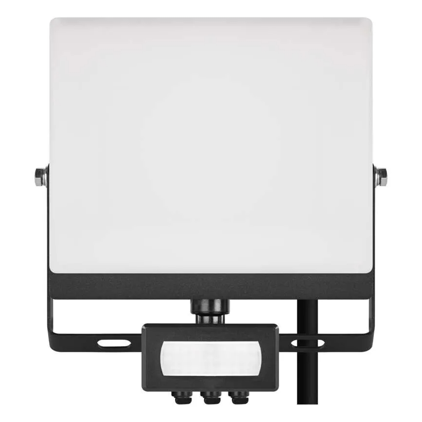 Proyector LED con sensor de movimiento y de crepúsculo TAMBO EVO LED/30W/230V 4000K IP44 negro