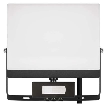 Proyector LED con sensor de movimiento y de crepúsculo TAMBO EVO LED/50W/230V 4000K IP44 negro