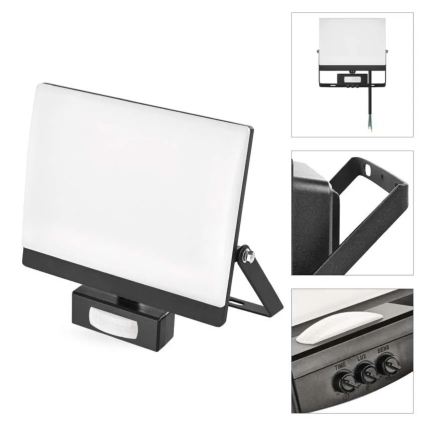 Proyector LED con sensor de movimiento y de crepúsculo TAMBO EVO LED/50W/230V 4000K IP44 negro