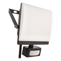 Proyector LED con sensor de movimiento y de crepúsculo TAMBO EVO LED/50W/230V 4000K IP44 negro