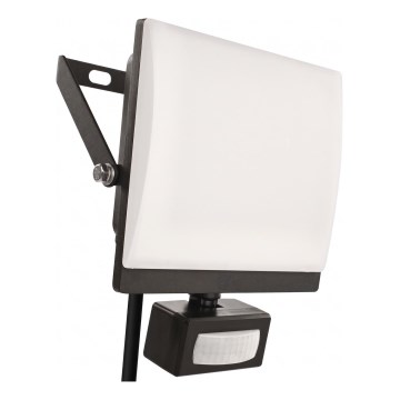 Proyector LED con sensor de movimiento y de crepúsculo TAMBO EVO LED/50W/230V 4000K IP44 negro
