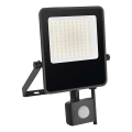 Proyector LED con sensor VISIO LED/50W/230V 4000K IP65