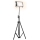 Proyector LED con soporte para cultivo de plantas FIRON LED/45W/230V IP54 negro