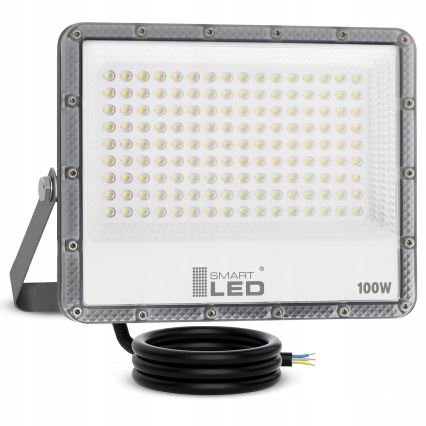 Proyector LED exterior 100W/230V 4500K IP65 gris