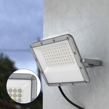 Proyector LED exterior LED/50W/230V 4500K IP65 gris