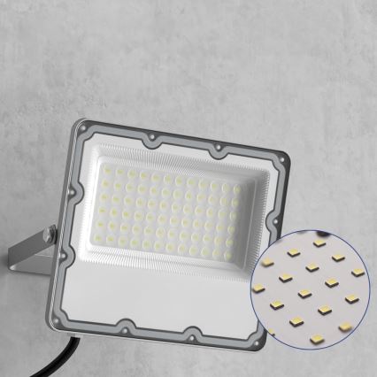 Proyector LED exterior LED/50W/230V 4500K IP65 gris