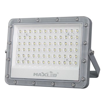 Proyector LED para exterior LED/50W/230V 5000K IP65 gris