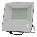 Proyector LED SAMSUNG CHIP LED/100W/230V 6400K IP65 negro