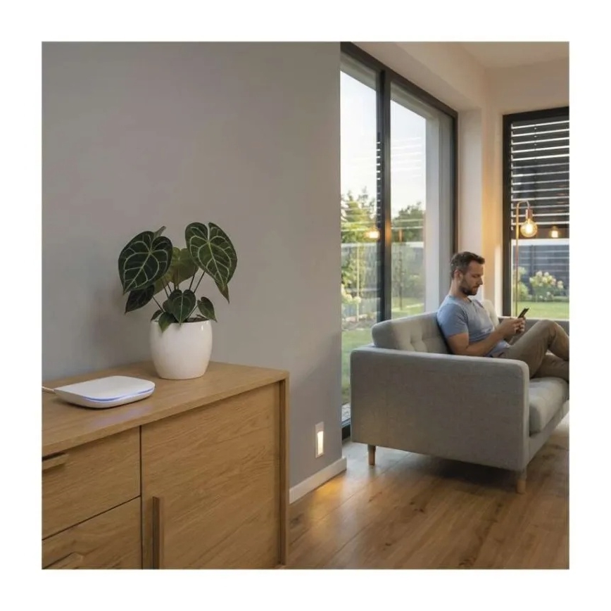 Puerta de enlace inteligente GoSmart Wi-Fi