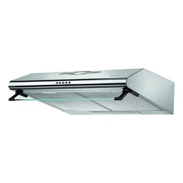 Pyramis 65029502 - Campana extractora STANDARD de 60 cm con doble motor, acero inoxidable